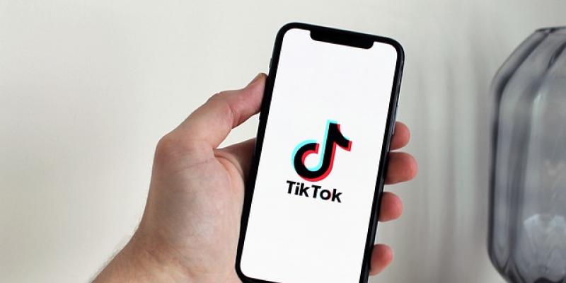 Los padres y especialistas muestran su preocupación sobre el TikTok tic Red social TikTok/Pixabay