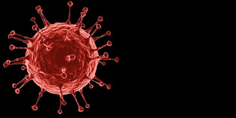 Imagen de un coronavirus