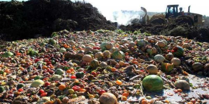 Sistema alimentario contaminante