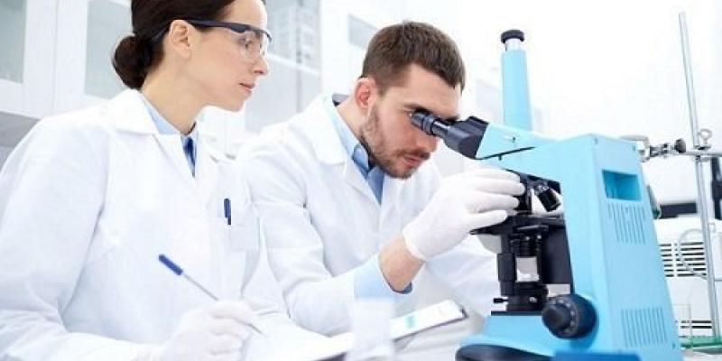 Investigadores del CNIC descubren nuevas funciones del sistema inmune Descubren nuevas funciones del sistema inmune