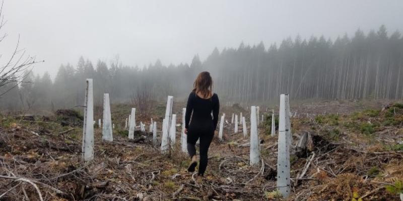 As es la solastalgia, surge de la degradacin de la naturaleza