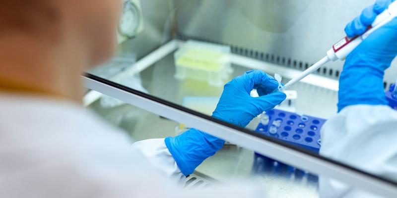 La Organización Mundial de la Salud ha puesto en marcha el ensayo clínico 'Solidarity'. La OMS pone en marcha 'Solidarity' para encontrar el tratamiento del coronavirus
