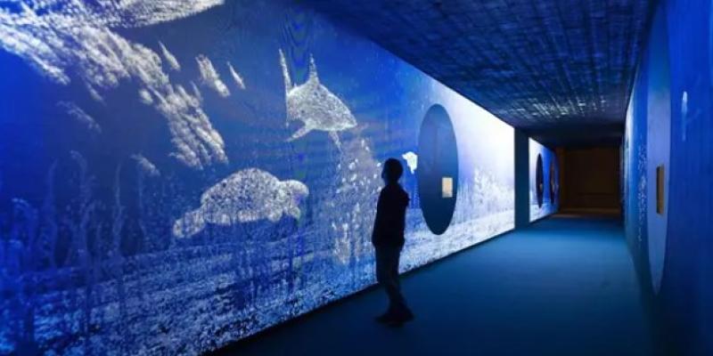 Somos agua, expo Fundación Canal Expo somos agua