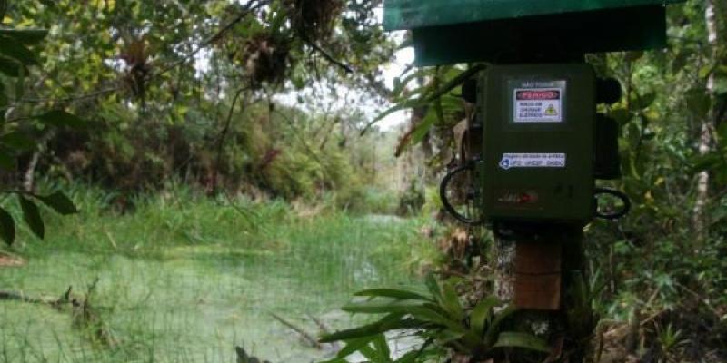 Sonidos de la naturaleza/ UAM Imagen del campo