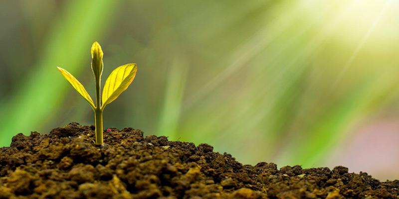 Pixabay La 13ª Semana RSC/Sostenibilidad Global tendrá lugar del 22 al 25 de noviembre.