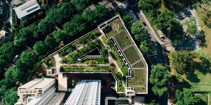 La sostenibilidad supone encontrar nuevos modelos de financiación climática y descarbonizar sectores. Imagen: @chuttersnap en Unsplash La sostenibilidad supone descarbonizar sectores. Foto: @chuttersnap en Unsplash