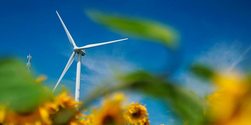 Capital Energy vence en la subasta de renovables del martes 19 de octubre. Imagen: @dx_www en Unsplash Capital Energy, gran vencedor de la subasta de renovables