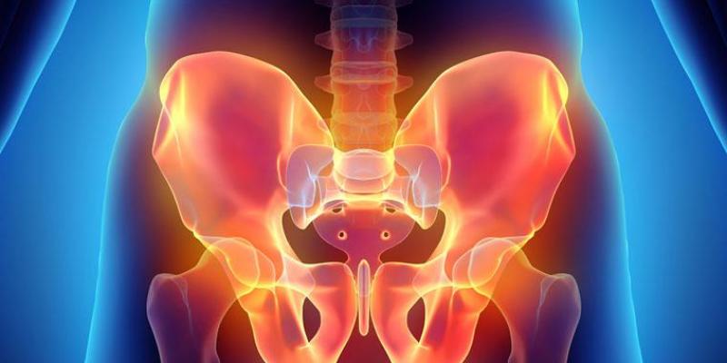 ¿En qué consiste la fisioterapia del suelo pélvico y para qué sirve? La fisioterapia del suelo pélvico