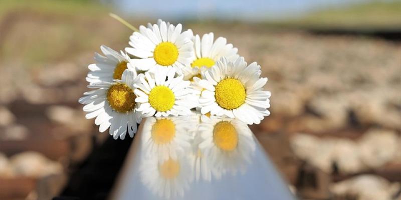 Ramo de flores en la vía del tren