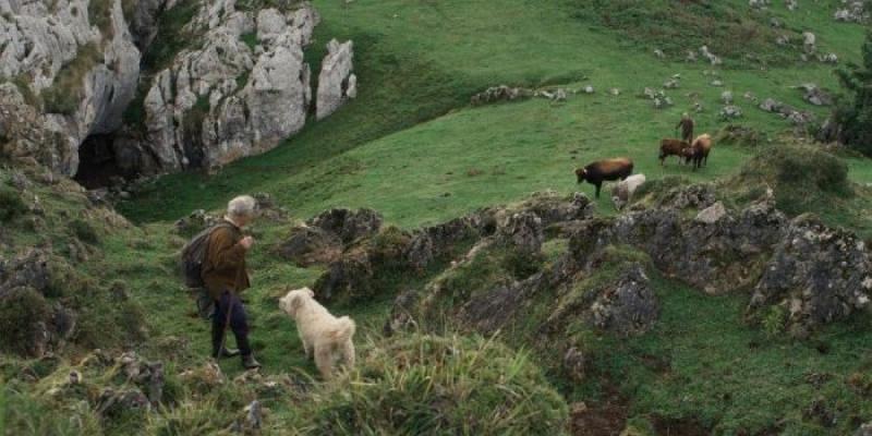 Fotograma de la película ‘Los últimos pastores’ - Foto: Samu Fuentes Fotograma de la película ‘Los últimos pastores’
