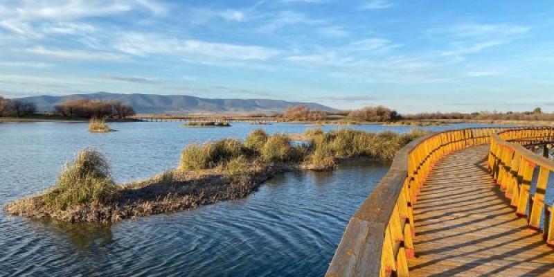 Tablas de Daimiel Un lugar de las tablas de Daimiel