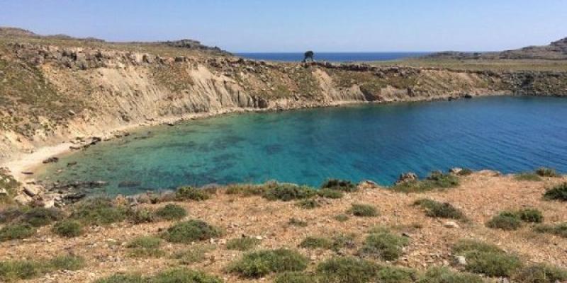 Los peces de aguas profundas serán más pequeños por el calentamiento oceánico