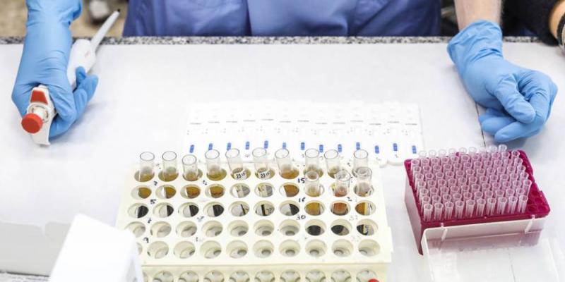 Tapsigargina Este antiviral, al igual que el español Aplidin, actúa sobre el organismo del huésped y no directamente contra el virus / EUROPA PRESS