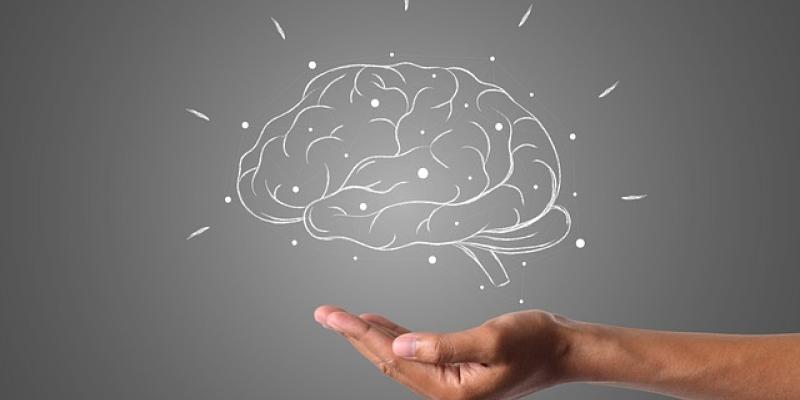 Las mejores técnicas de aprendizaje - Pixabay Aplicar técnicas de aprendizaje