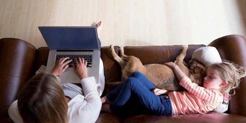Los españoles consideran que su trabajo le permite teletrabajar / Infolibre El 74% de los españoles considera que su trabajo le permite teletrabajar