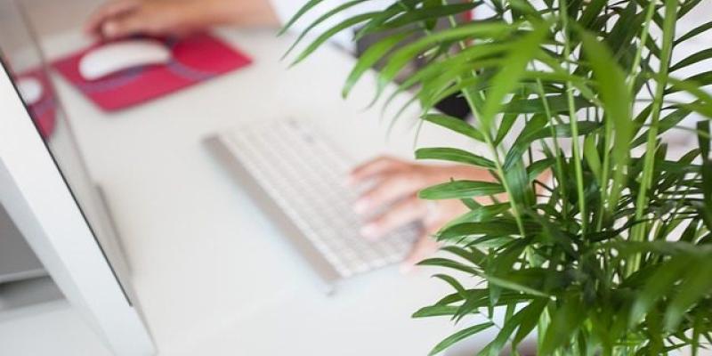 El teletrabajo sigue sin estar compensado - Pixabay Las desventajas del teletrabajo