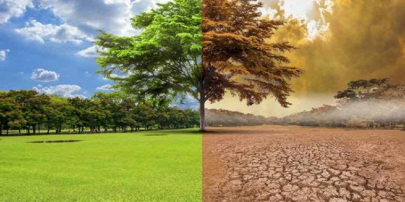 La temperatura global podría aumentar 1,5° C en los próximos 4 años. La temperatura global podría aumentar peligrosamente hasta 1,5° C.
