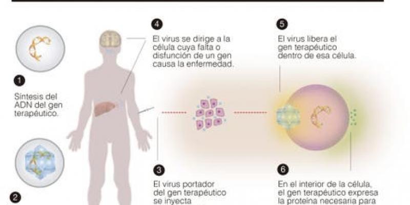 Infografía sobre la terapia génica 