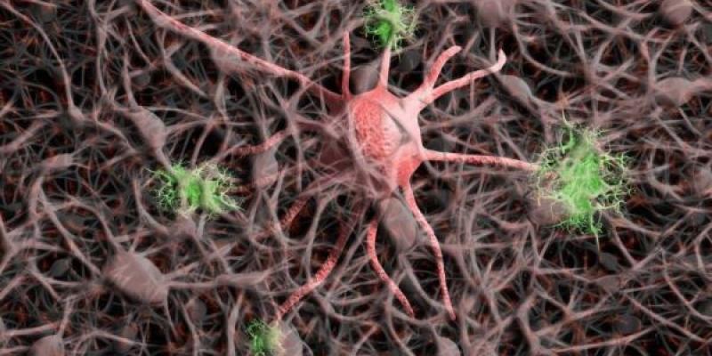 Una terapia génica abre la esperanza en la lucha contra el alzheimer Terapia génica made in Spain