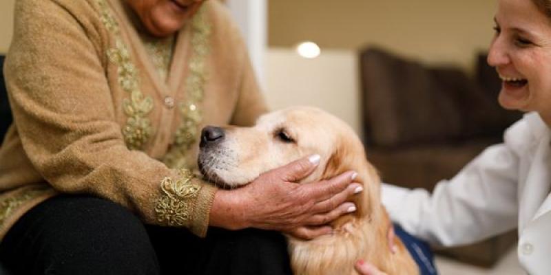 Perro con un paciente