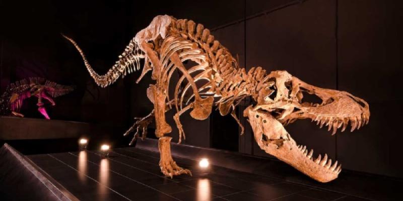 Exposición de dinosaurios en Teruel 