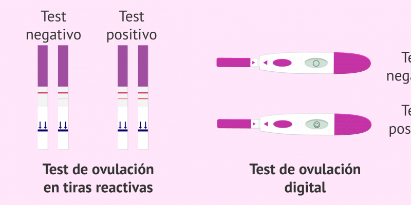 Existen dos tipos de test de ovulación, en tiras y digital Test de ovulación