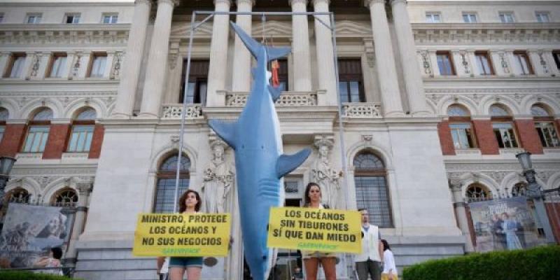Situación de los tiburones/ Greenpeace Reclamando por los derechos de los tiburones