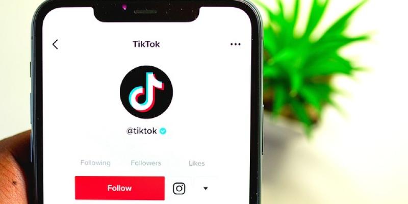 TikTok y la desconfianza