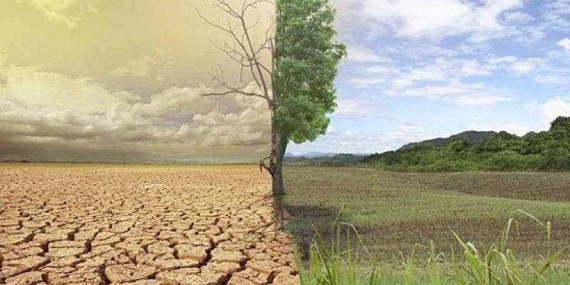 Imagen del efecto invernadero Los gases de efecto invernadero dañan poco a poco el medio ambiente/Visión Sustentable