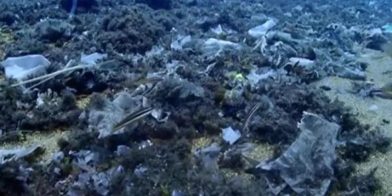 Toallitas desechables, una contaminación extremadamente peligrosa Contaminación de una parte del océano con toallitas desechables