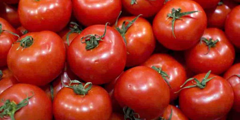 Tomates / Quo Los tomates consiguen potenciar su sabor con una pizca de sal