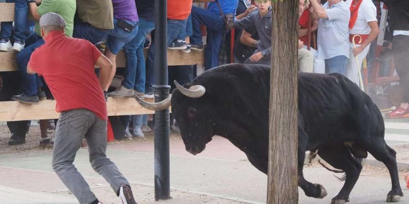 El Toro de la Vega concluye sin incidentes