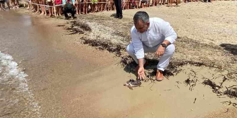 Imagen del Consejero de Medio Ambiente/Onda Regional de Murcia Medio Ambiente estudia a las tortugas bobas