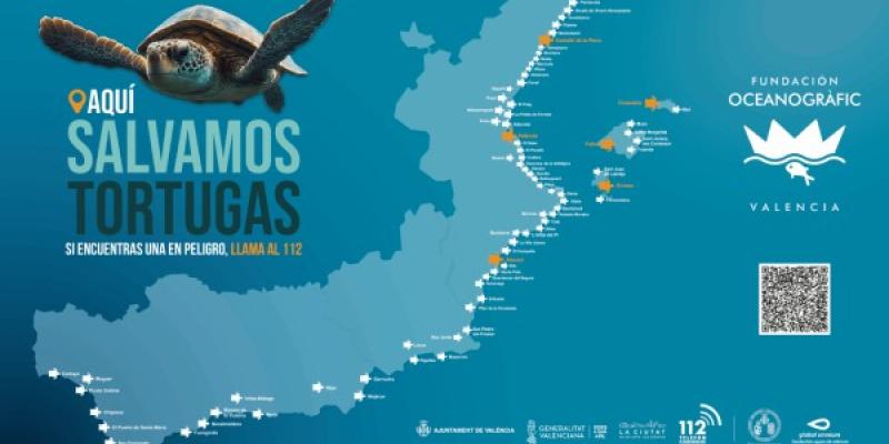 Salvar tortugas del Mediterráneo Infografía del Oceanográfic de Valencia sobre las tortugas en el Mediterráneo