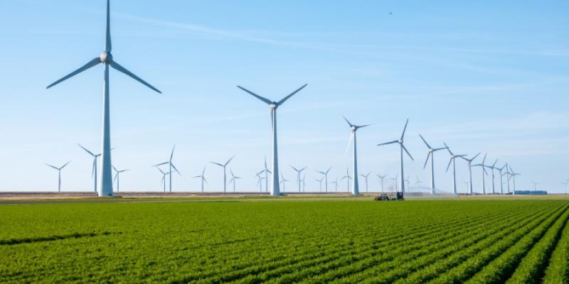 Transición energética - Envato Elements Molinos de viento