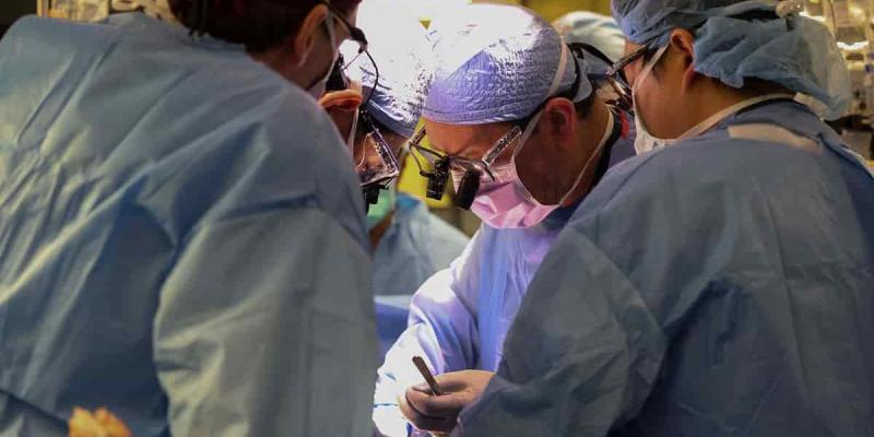 Imagen de varios médicos/RTVE.es La ONT manifiesta cuestionamientos sobre los trasplantes de riñón