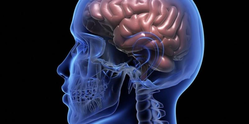 Mapa cerebral para los trastornos mentales