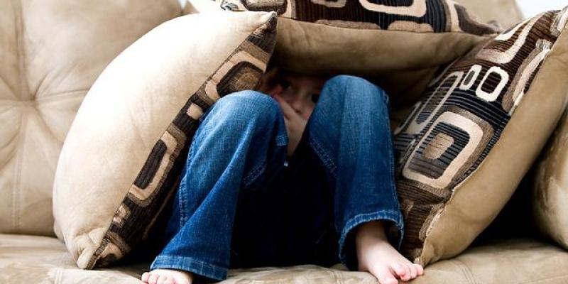Traumas y miedos que nos llegan en la epigenética - Pixabay Nuestros traumas y miedos heredados