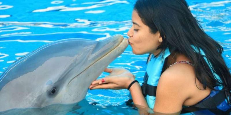 Imagen de Aquaventuras sobre Vallarta, México Chica nadando con un delfín