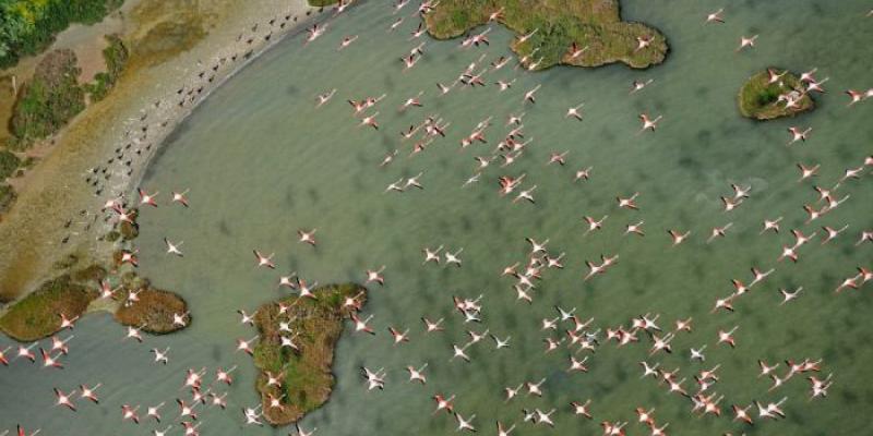 Doñana 