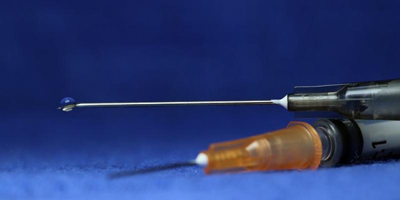 Enfermedades infecciosas/ Pixabay Vacunación enfermedades infecciosas