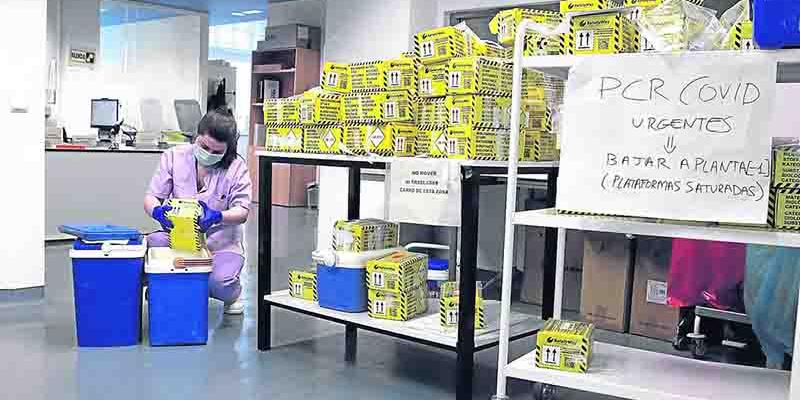 variante Omicron / El Comercio Los científicos chinos buscan comprobar si la variante Omicron comenzó por ratones