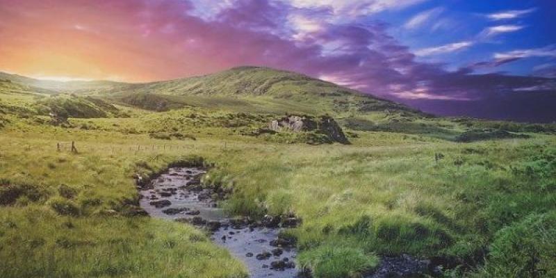 La vida de los ecosistemas terrestres incluye toda la fauna y la flora. Paisaje Irlandés Hay que proteger la vida de los ecosistemas terrestres