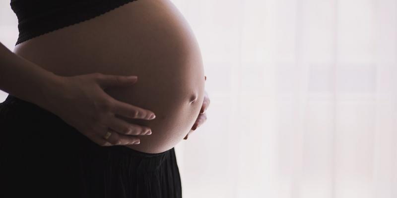 Vientres de alquiler, una forma de explotación reproductiva Los vientres de alquiler serán considerados una forma de explotación reproductiva