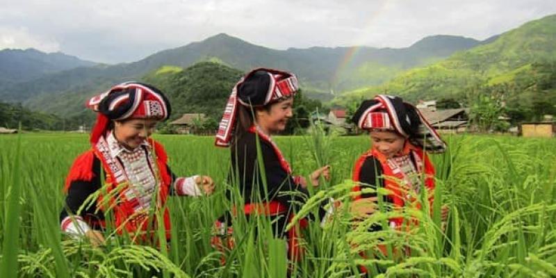 Vietnam avanza en derechos de las mujeres