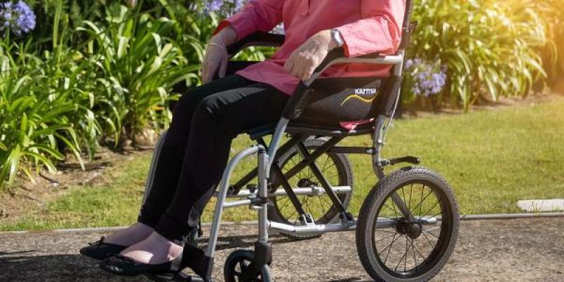 Mujer con discapacidad en silla de ruedas / Pixabay Mujer con discapacidad