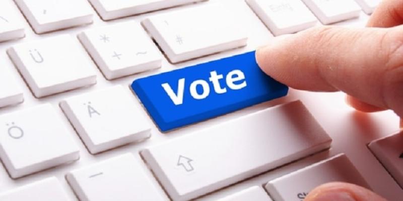 El voto online y sus razones