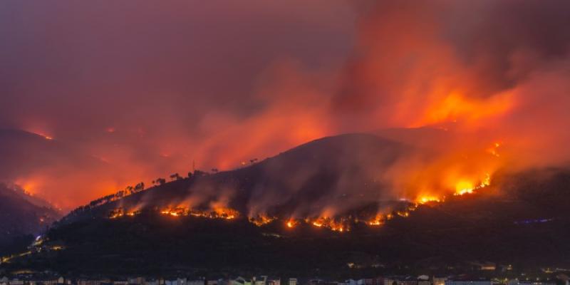 Incendios forestales | Foto de Brais Lorenzo/WWF Incendio forestal