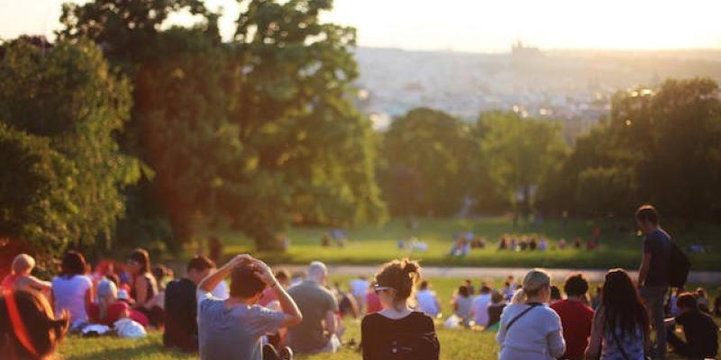 El impacto positivo de las zonas verdes en las ciudades - Pexels Las zonas verdes en las ciudades