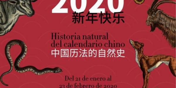 Cartel exposición Año Nuevo Chino